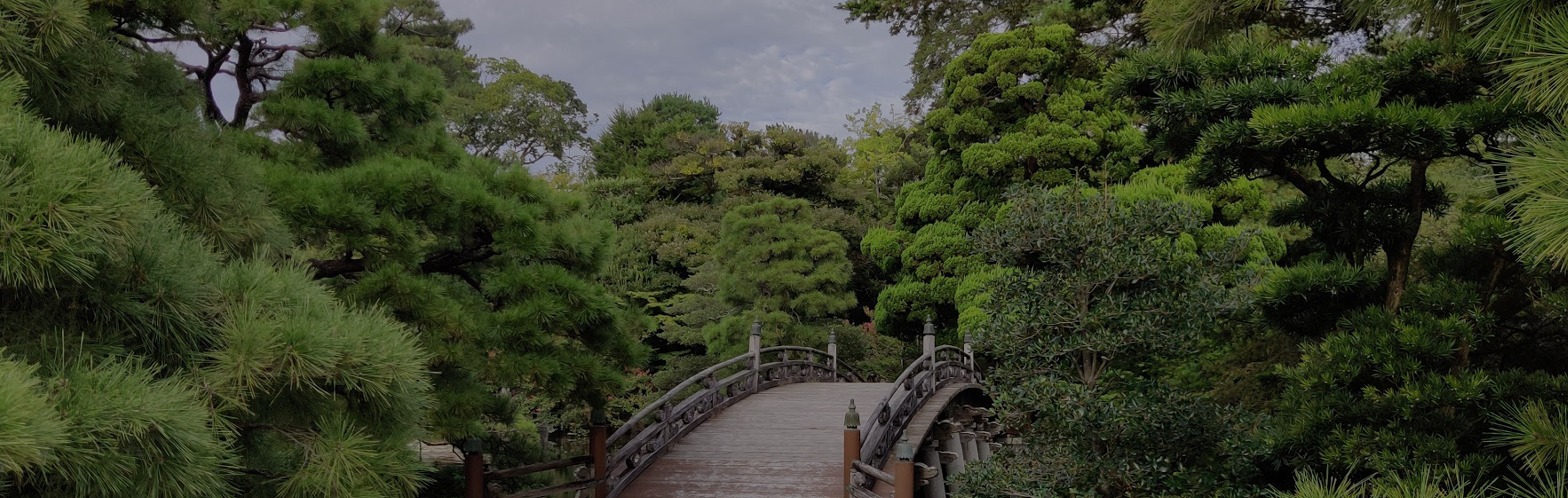 Grapheye Japan